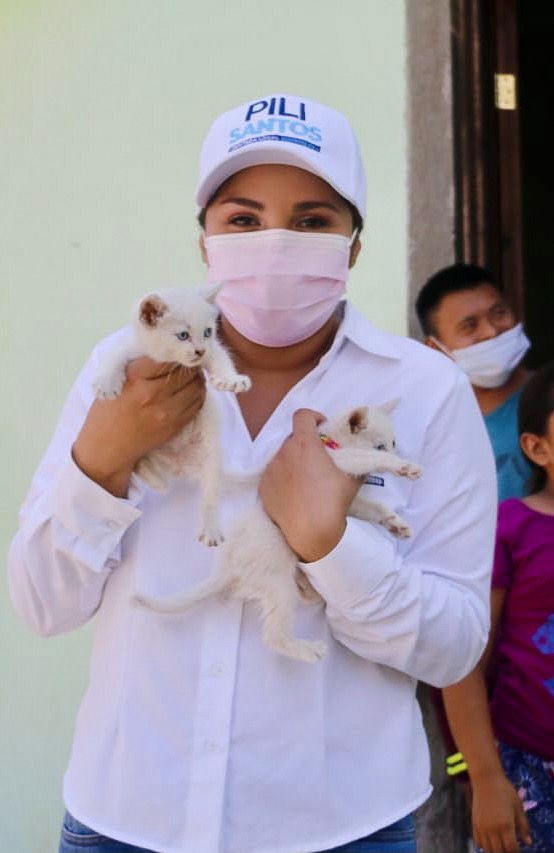 Elecciones Yucatán: Pili Santos castigará a quienes maltraten a los animales