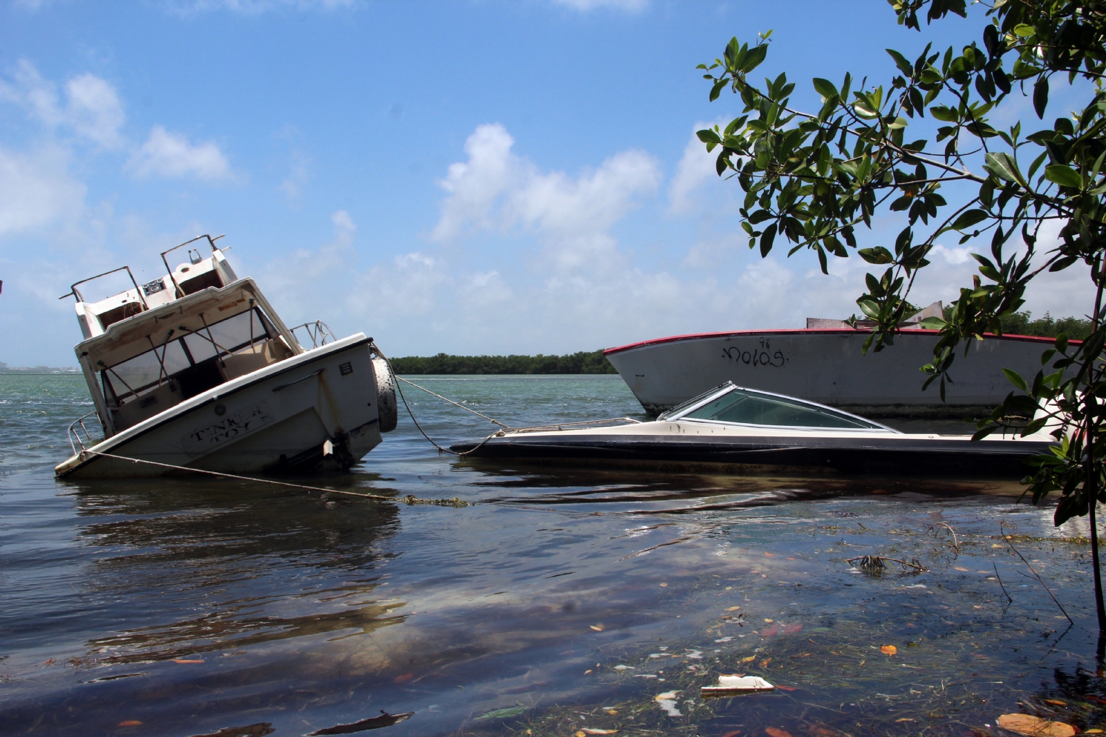 Embarcaciones hundidas afectan el crecimiento del mangle en la Laguna Nichupté