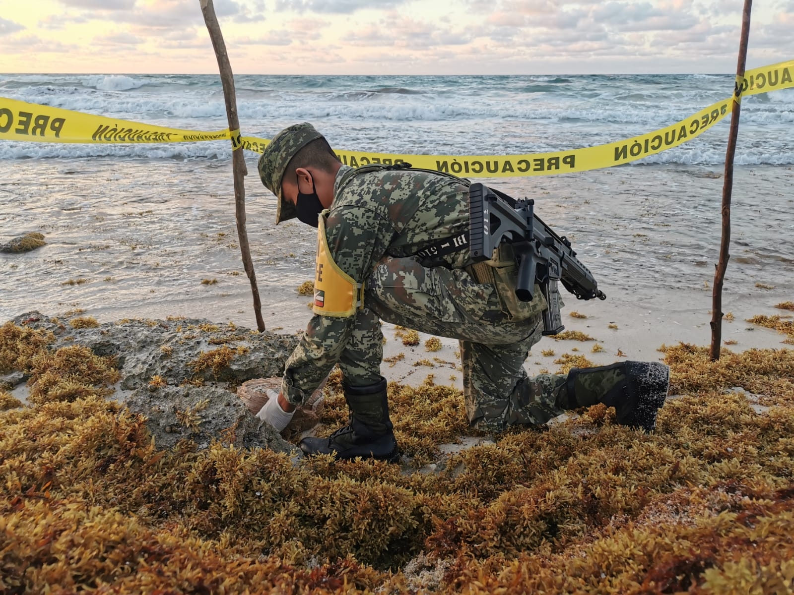 Encuentran paquetes con droga entre el sargazo de las playas de Cozumel