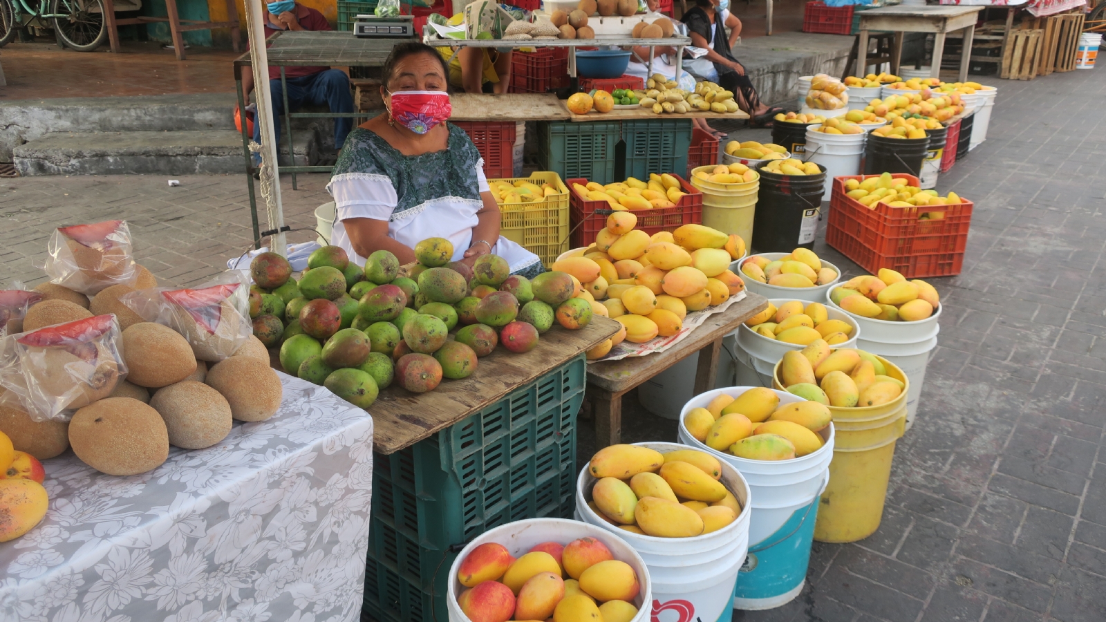 En el mercado municipal, las cubetas de lo cosechado se están vendiendo entre los 70 y 90 pesos, dependiendo de su calidad, señalan las venteras