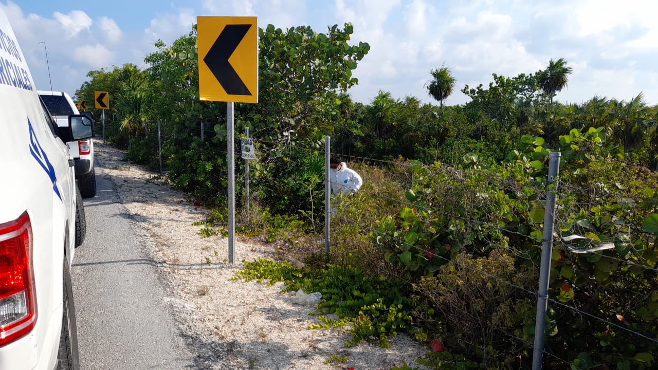 Encuentran cadáver de un hombre en la Zona Continental de Isla Mujeres