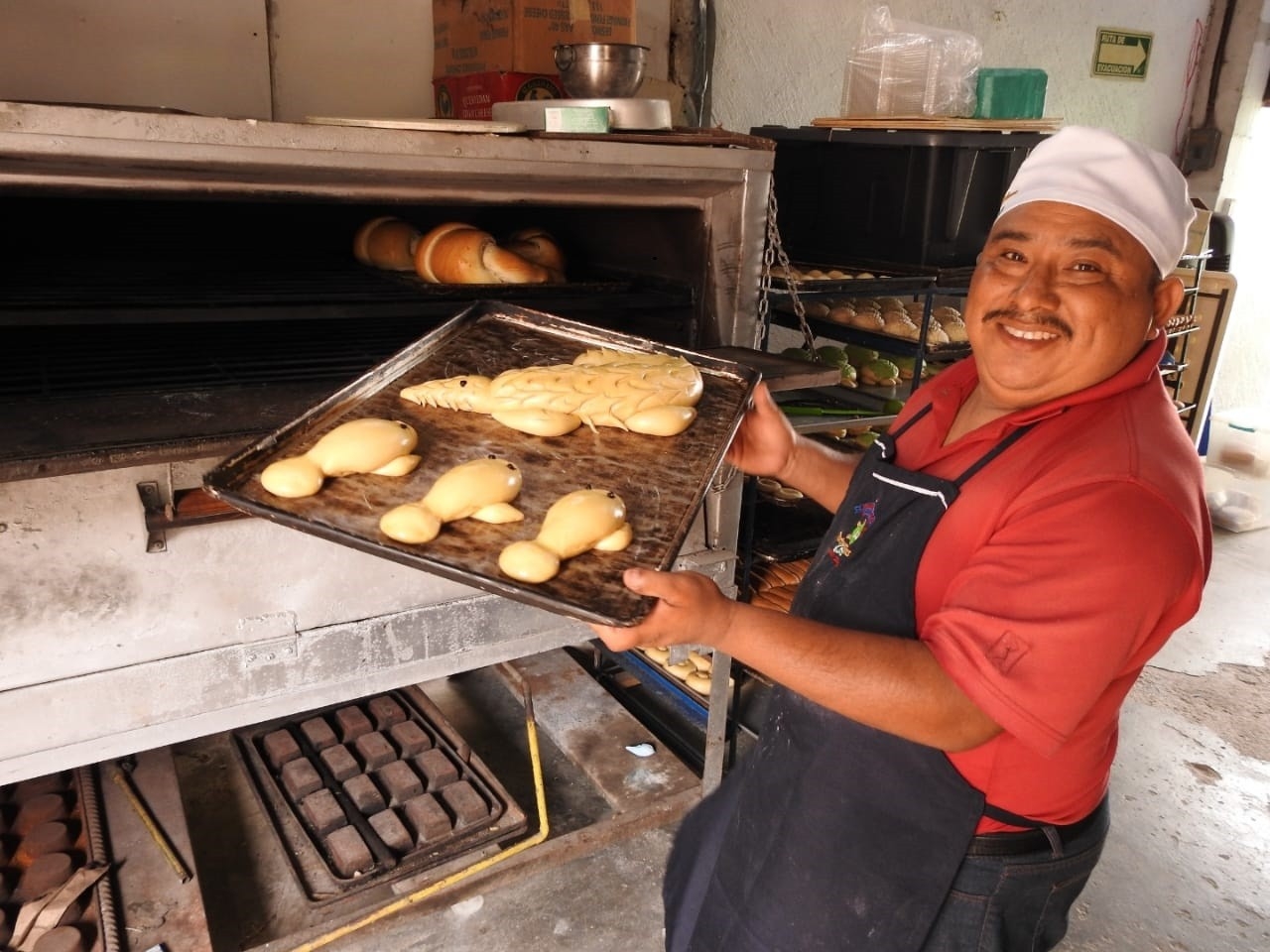 También creó el panatí en honor a los manatíes