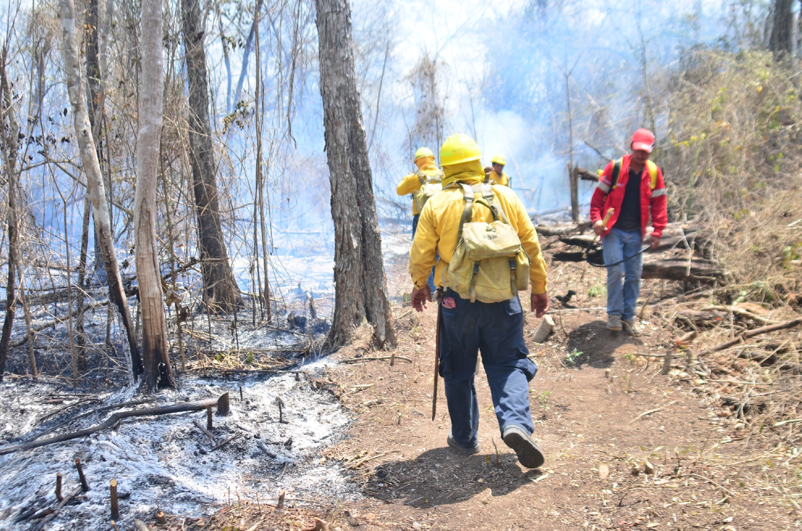 Controlan en un 50 por ciento el incendio en Sian Ka'an, Quintana Roo