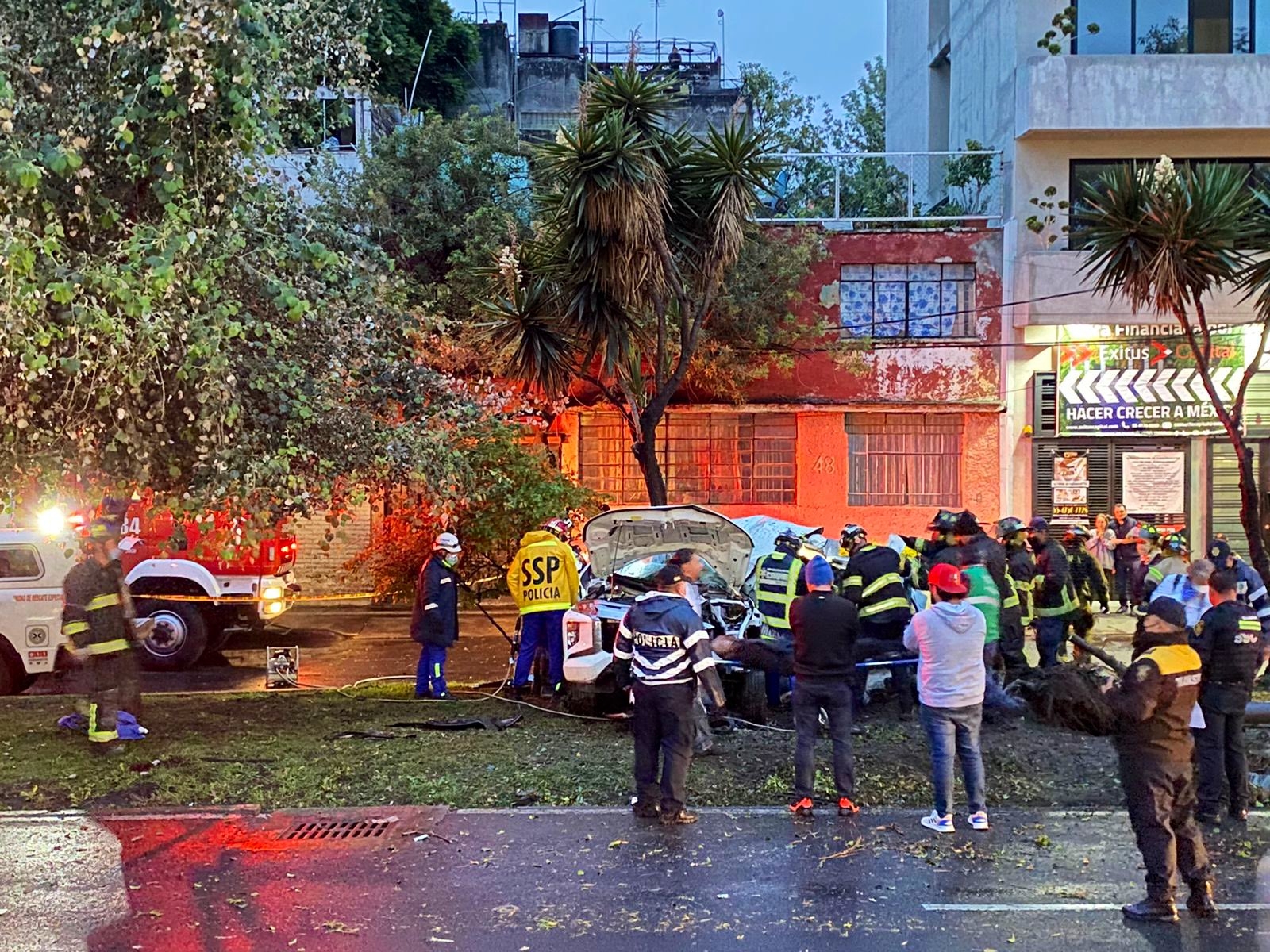 Mueren cuatro policías de la FGR tras chocar contra un árbol en CDMX