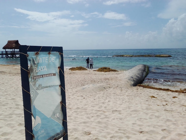 Hotel  'The Fives' instala mallas de retención sin permiso en Playa del Carmen