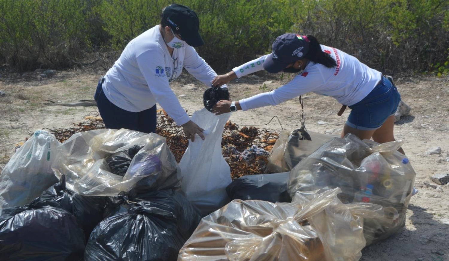 Voluntarios hicieron una campaña de limpieza, en el marco del Día Mundial de los Océanos