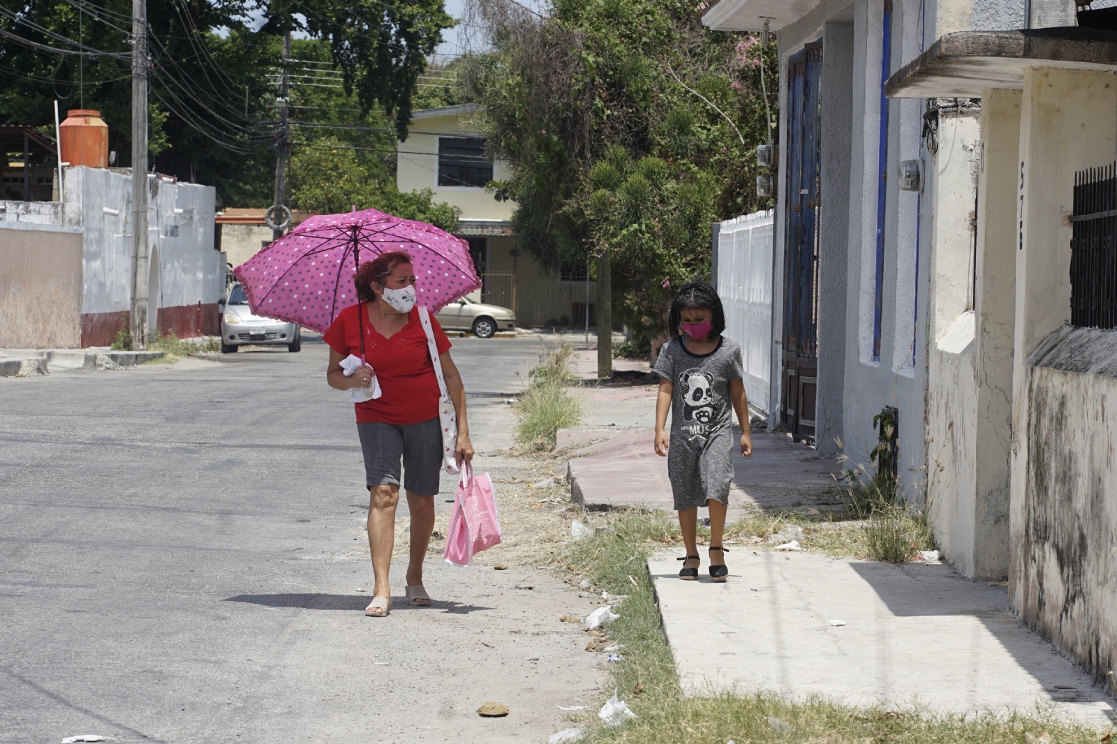 Durante el proceso los niños tendrán asistencia psicológica