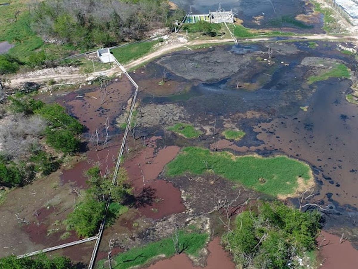 El Anillo de los Cenotes suministra el 42% del vital líquido.