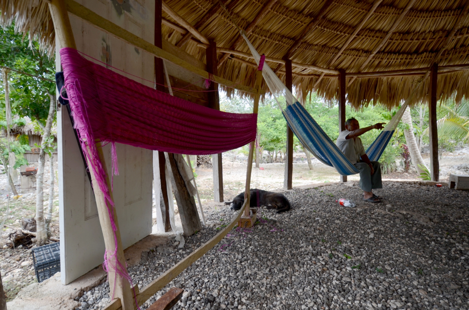 El turismo alternativo favorece a la economía de las zonas centro y sur de Quintana Roo