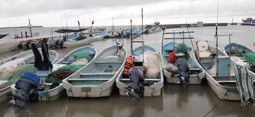 Mal tiempo afecta a cerca de 800 pescadores en Chiquilá, Quintana Roo