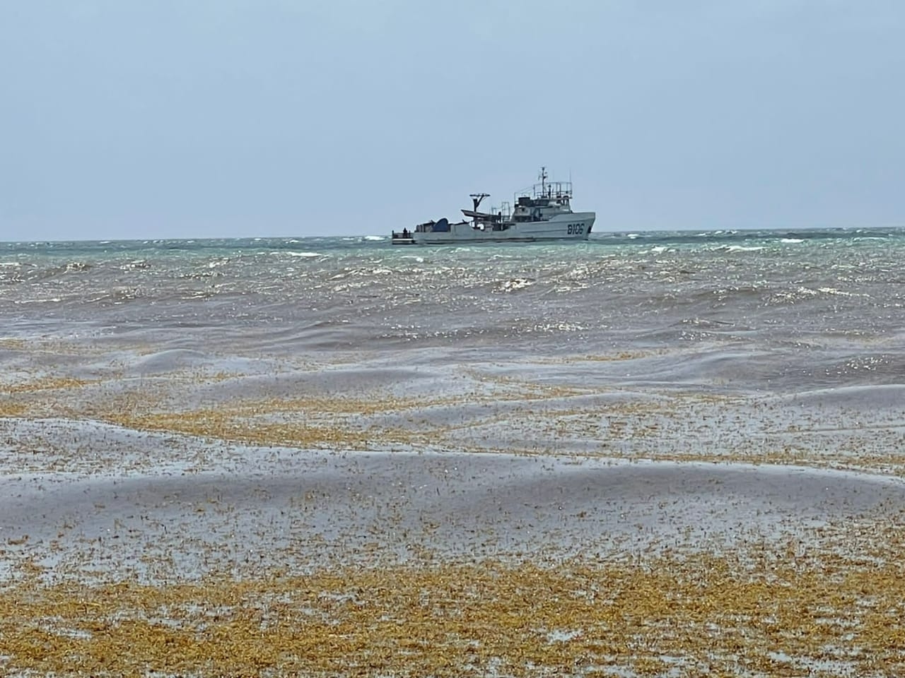 Se hunde barco sargacero de la Semar en Playa del Carmen