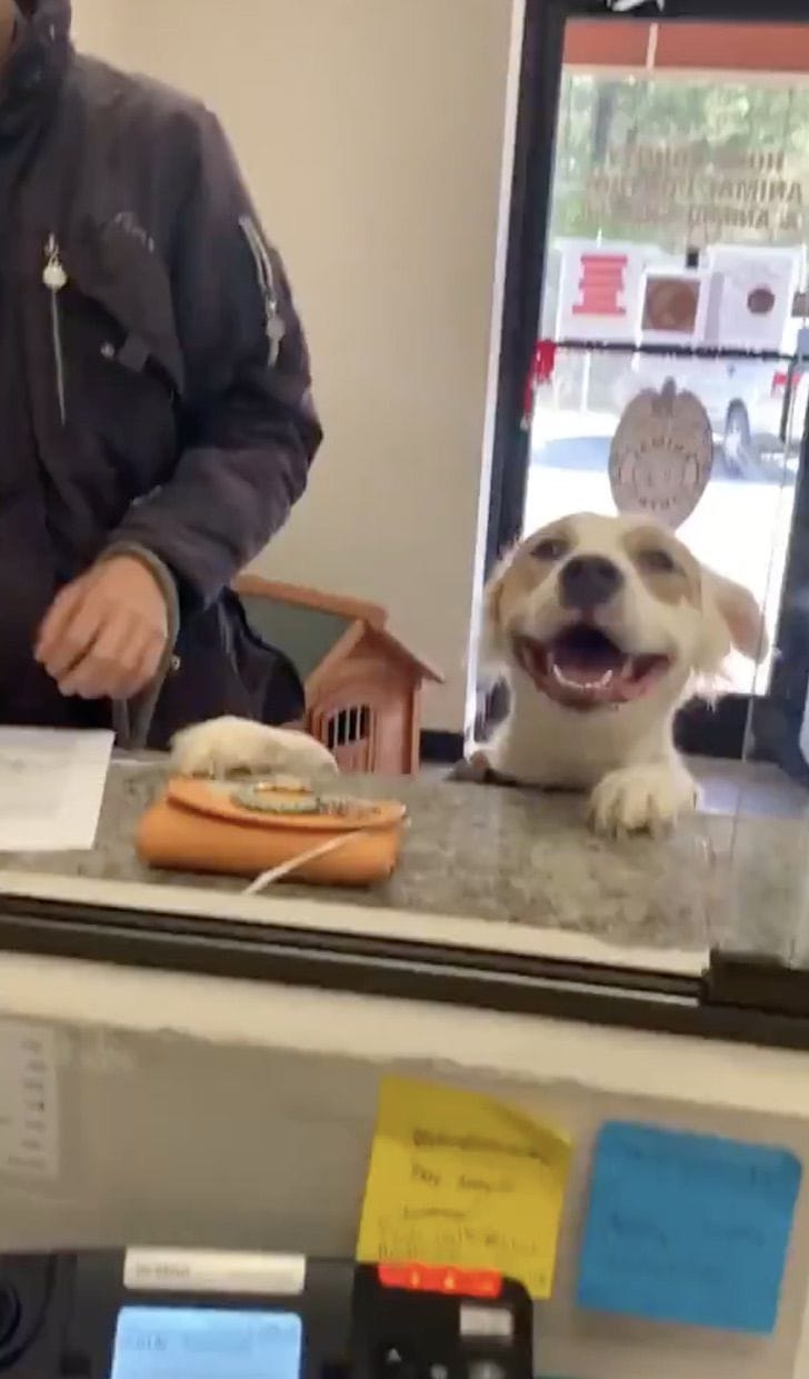 “Nariz de corazón” logró cautivar a las redes sociales tras un video en el que se le ve sonriendo de oreja a oreja