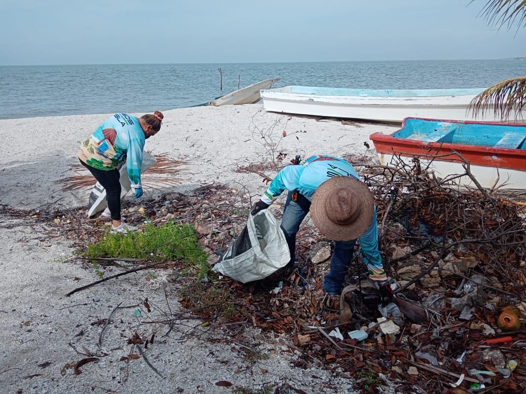 Asociaciones de protección ambiental limpiaron manglares de Ciudad del Carmen