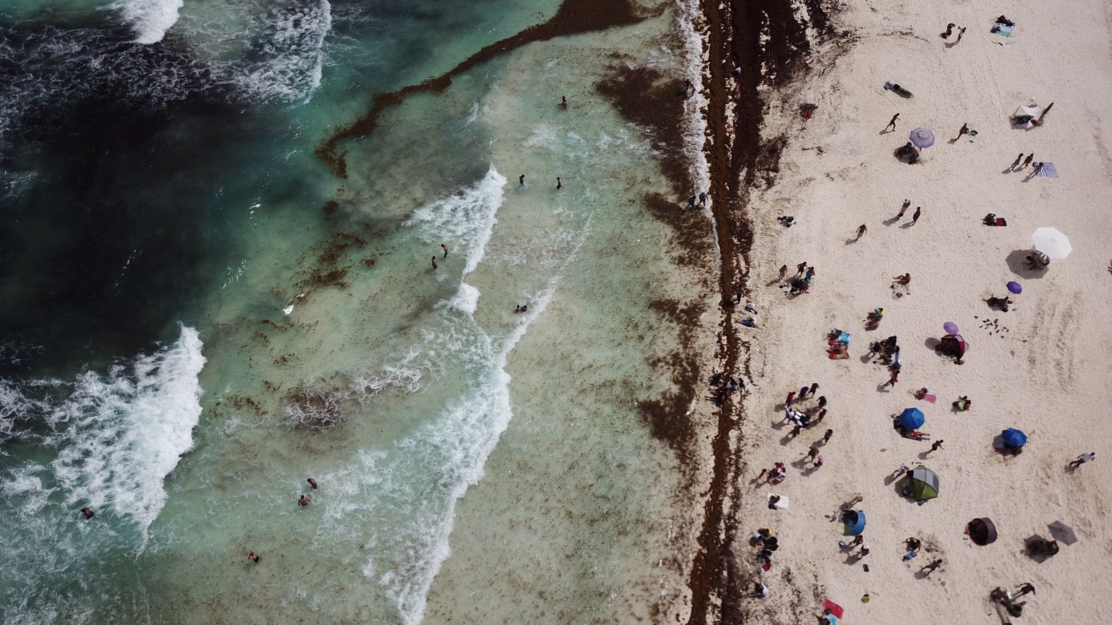 Así se ven las playas de Cancún con sargazo este domingo: FOTOS