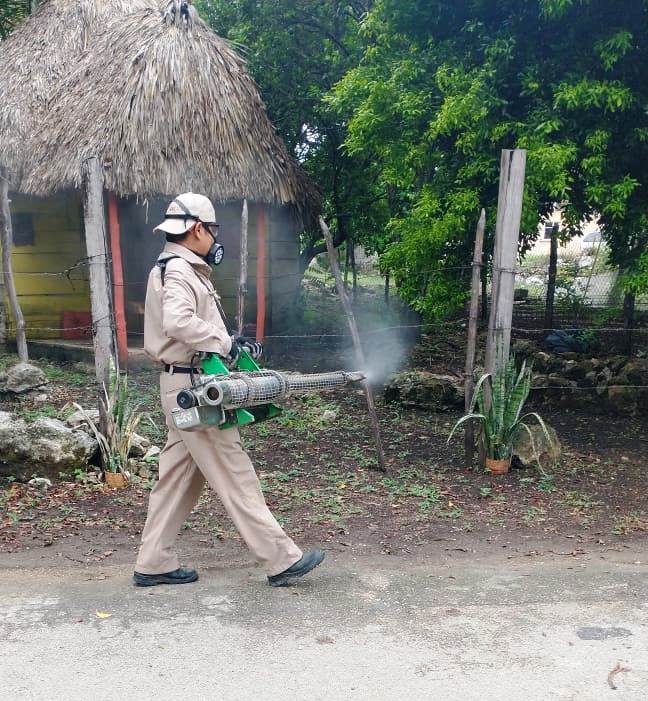 Refuerzan medidas preventivas contra el dengue en Campeche