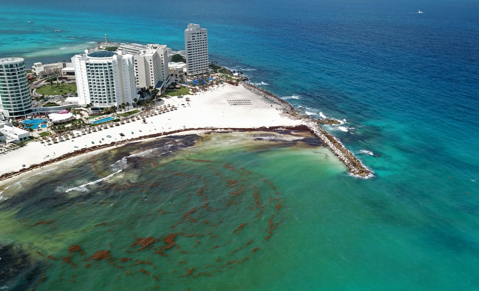 Una de las playas favoritas de los cancunenses es Playa Fórum, el sargazo provoca una mala imagen al destino turístico