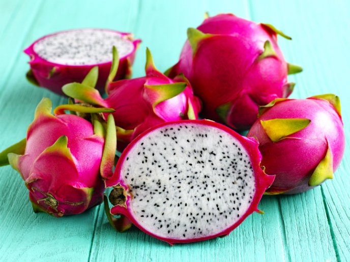 Campesinos de la Zona Maya de Quintana Roo exportarán pitahaya a EU