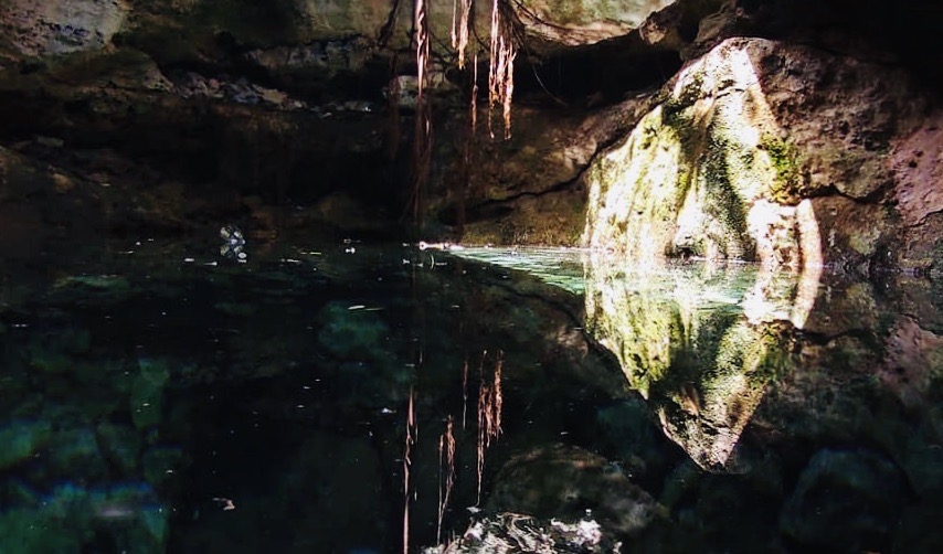 La cueva se encuentra bajo un árbol de álamo