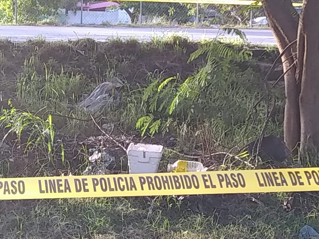 Encuentran nevera con un feto humano dentro