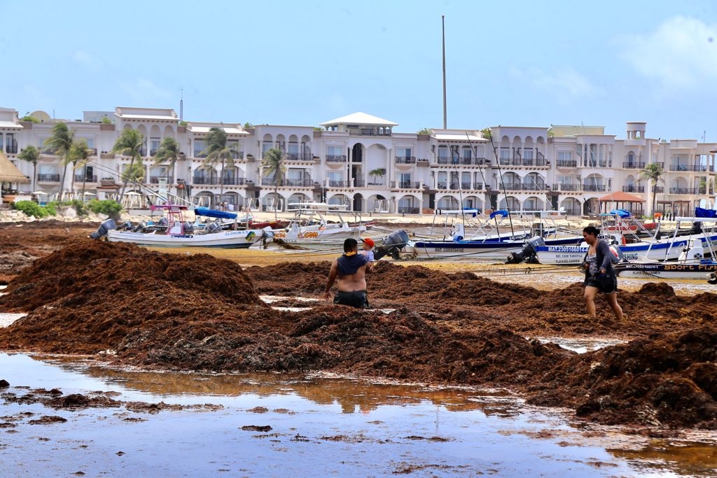 Estas son las playas más limpias de sargazo en Quintana Roo este 11 de junio