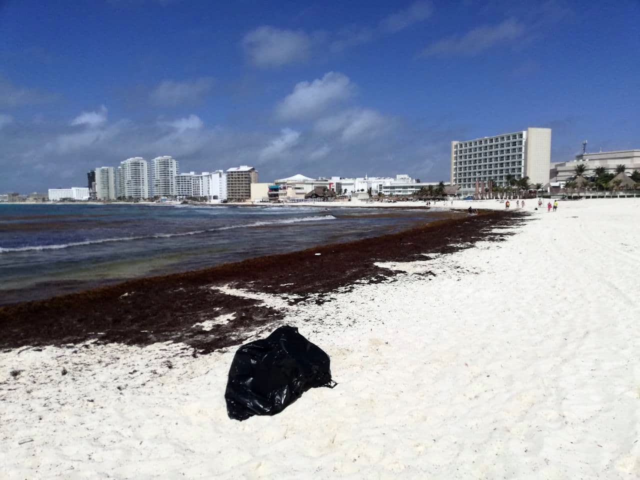 En Quintana Roo, la Red de Monitoreo del Sargazo se encarga de monitorear 80 de las playas que existen en el Estado