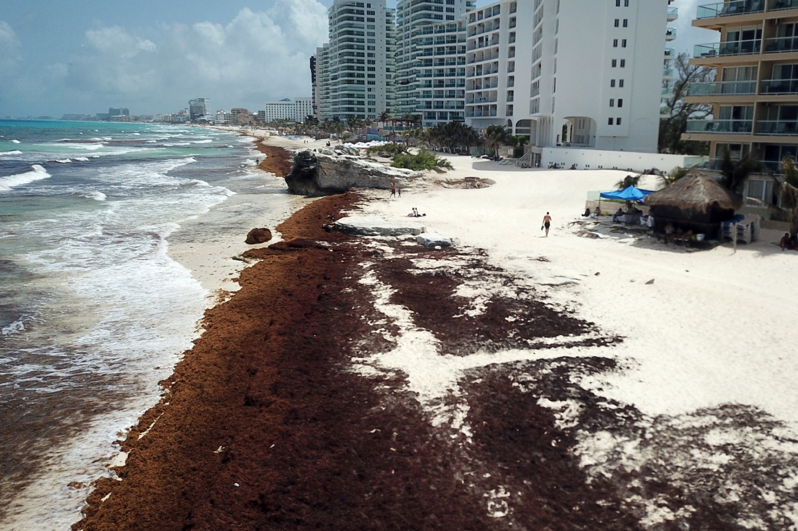 El oleaje y vientos del Potencial Ciclón Uno ayudaron a la reducción de la mancha de sargazo en Quintana Roo