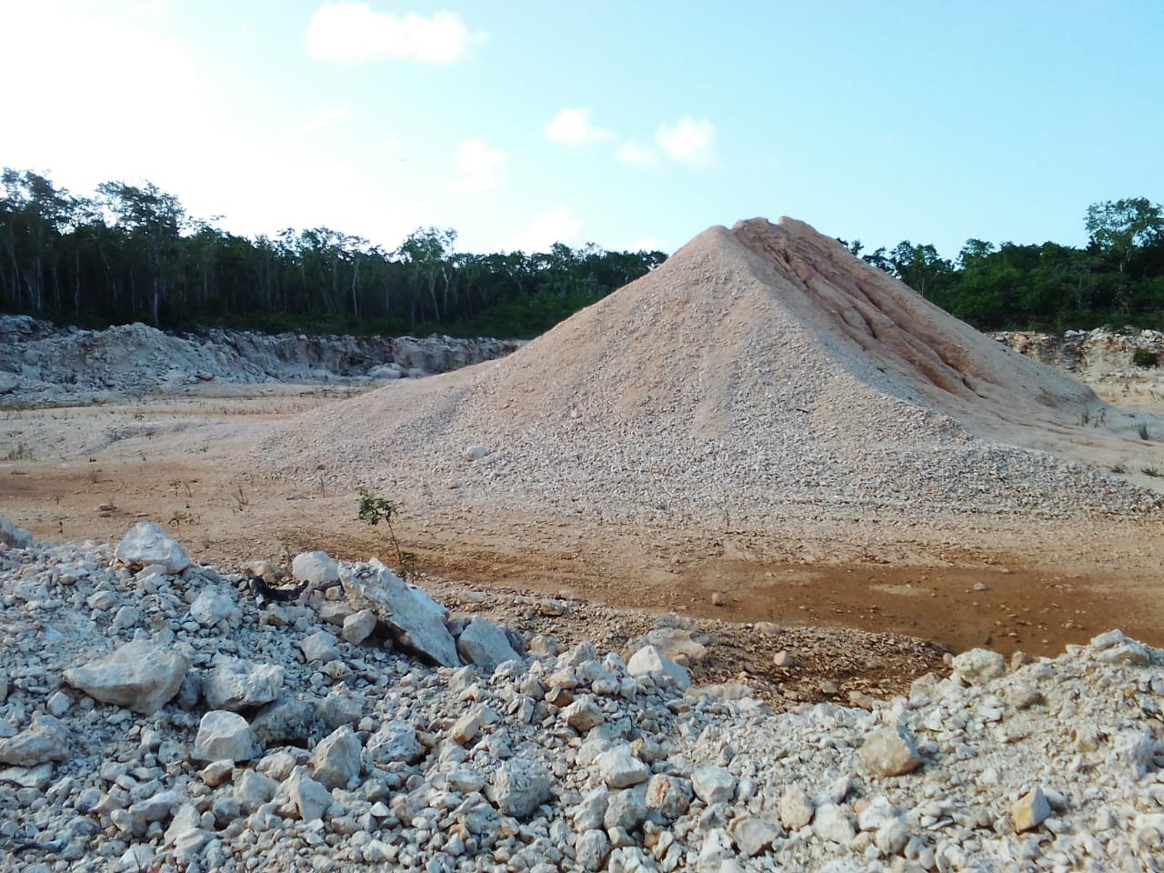 Empresa ABC causa ecocidio en el terreno 'Balamtun' de Playa del Carmen