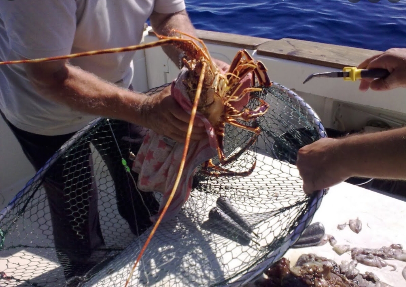 Pescadores de San Felipe se alistan para la temporada de langosta