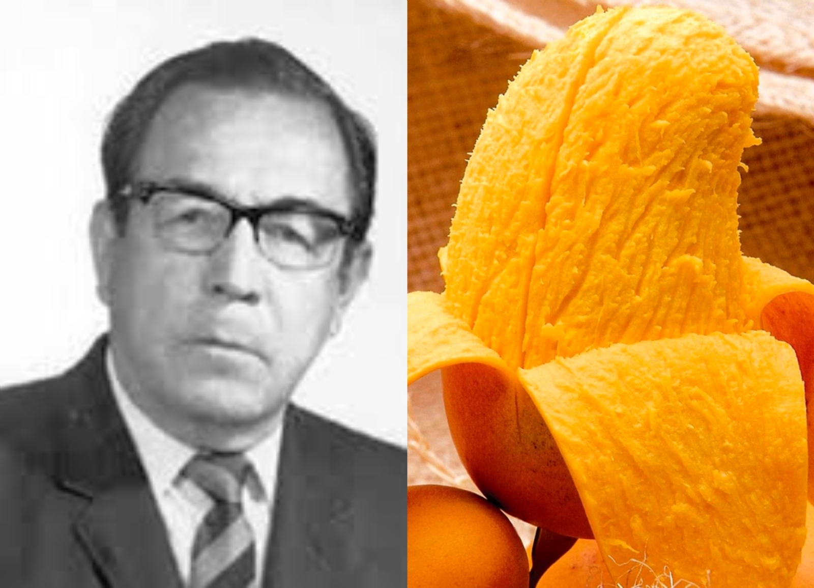 Este es el hombre que “creó” el mango Ataúlfo