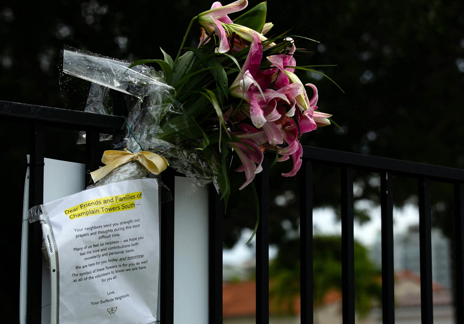 Alrededor de las fotos hay ramos de flores y se colocaron velas en el suelo