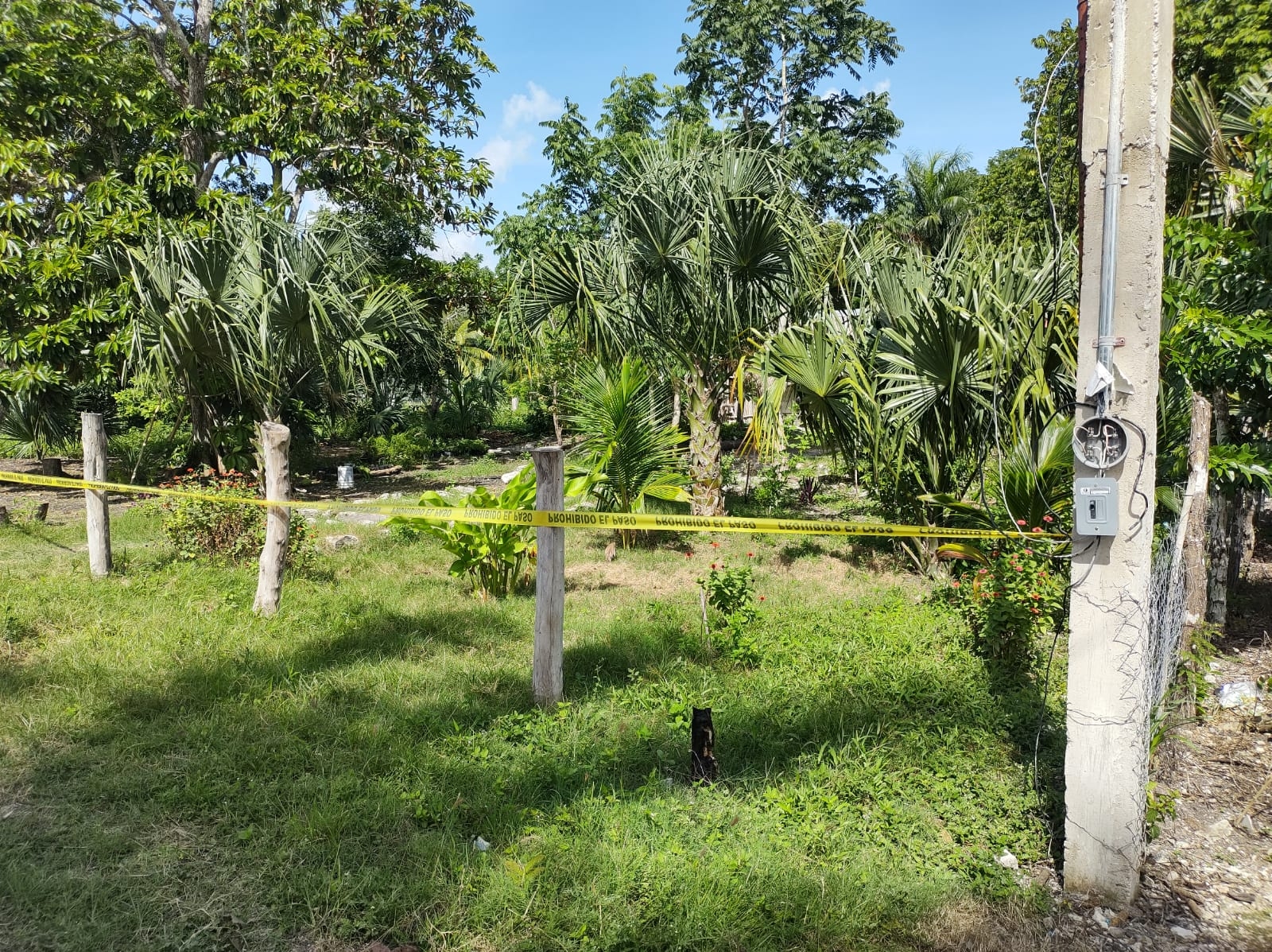 En el lugar hicieron acto de presencia del elementos de la Policía Quintana Roo, quienes acordonaron el área en espera de la llegada de la Fiscalía General del Estado