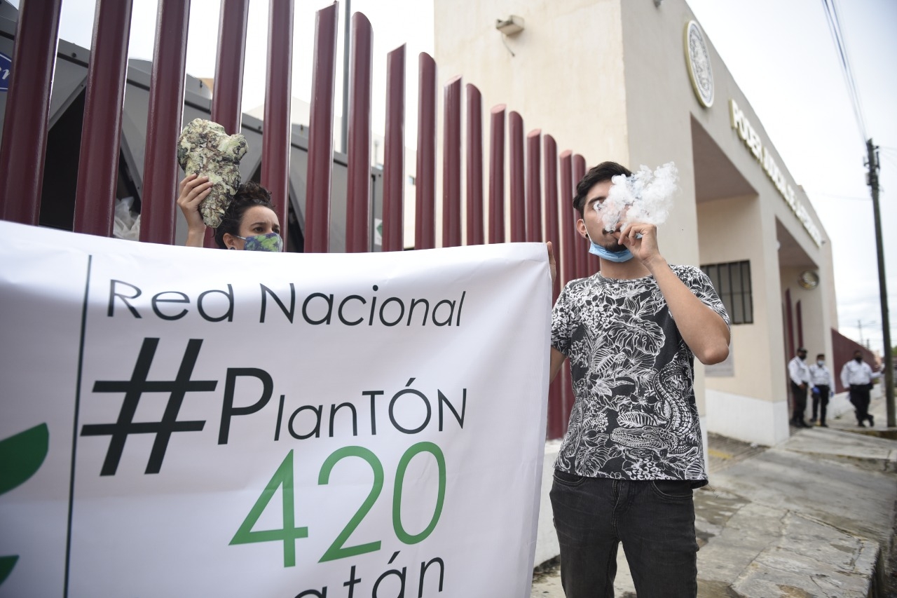 Yucatecos celebran con 'Fumatón 420' la legalidad de la marihuana: VIDEO