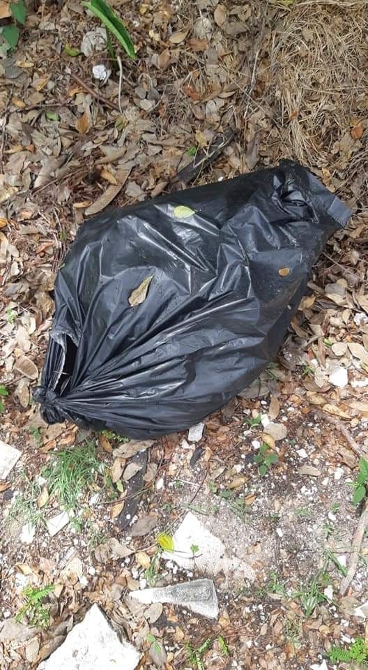 Graban en video el momento justo en el que un individuo arroja bolsas con animales muertos