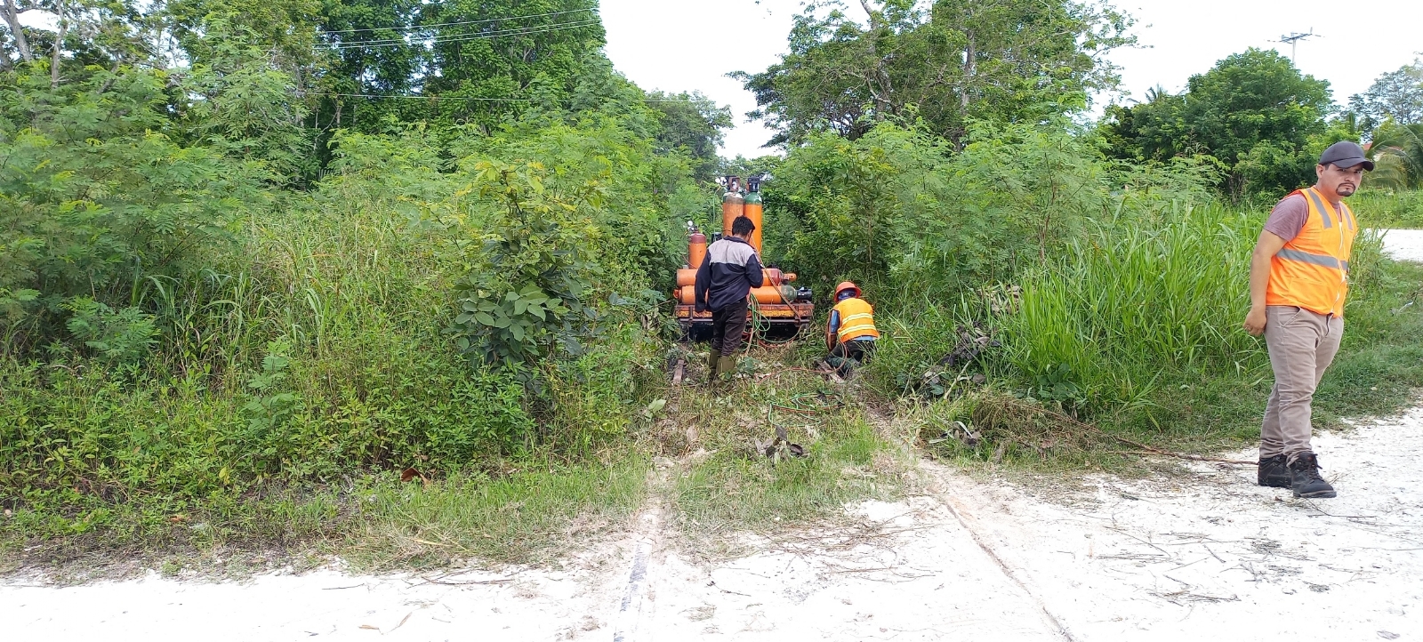 Tren Maya: Inicia desmantelamiento de vías en Candelaria, Campeche