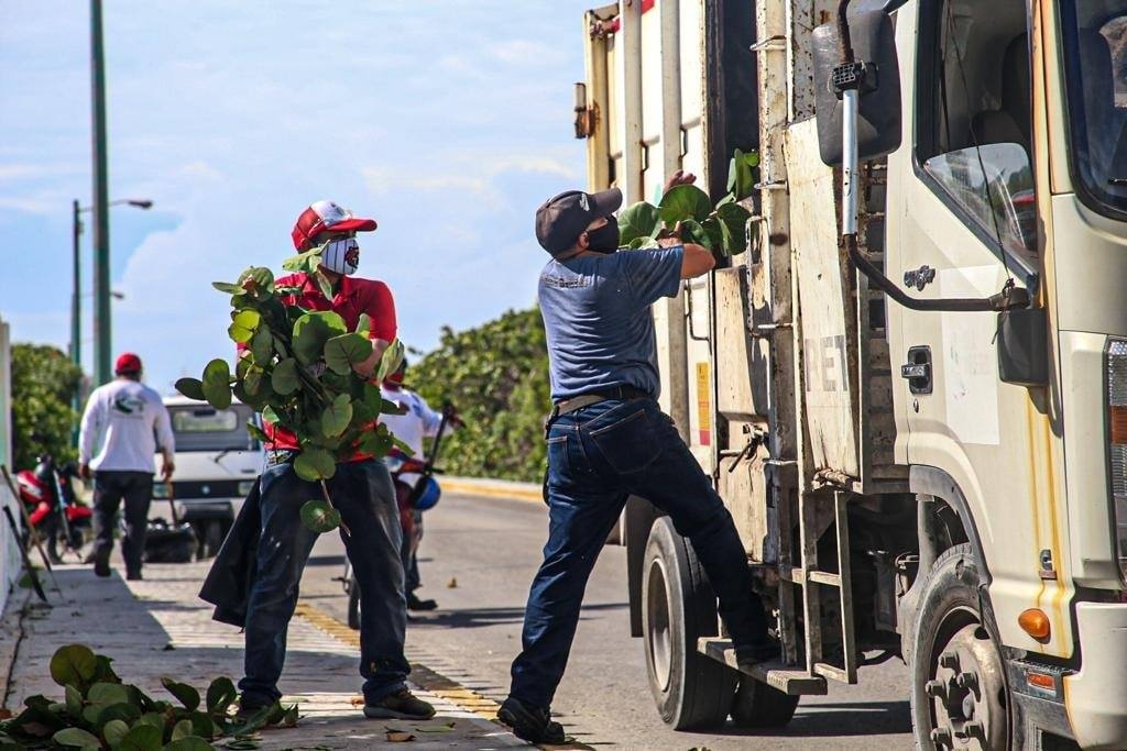 Desaparecen 32 mdp del impuesto de impacto ambiental en Isla Mujeres