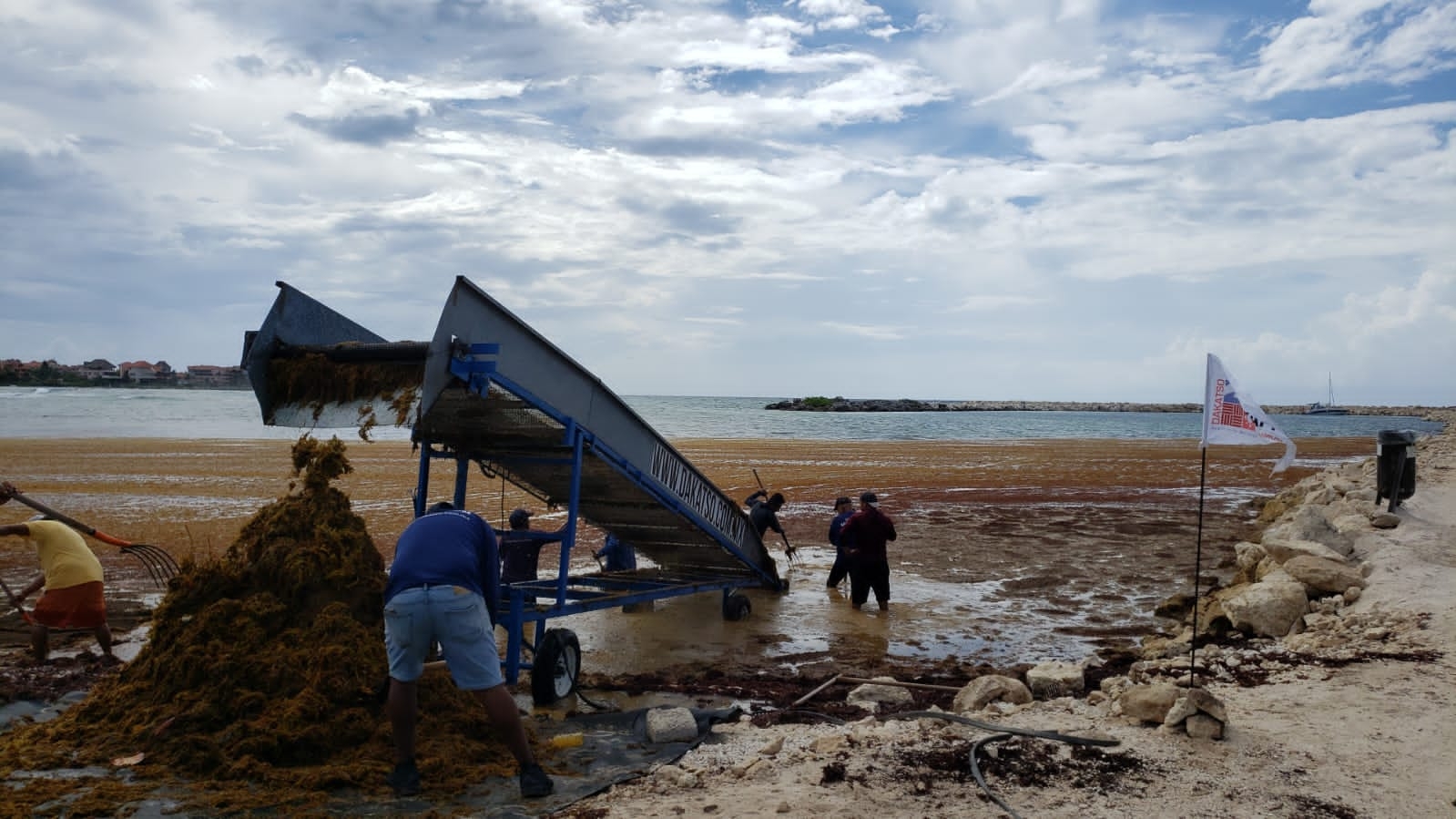 Toneladas de sargazo esparcieron su hedor por la playa, ahuyentaron a cientos de bañistas y, en consecuencia