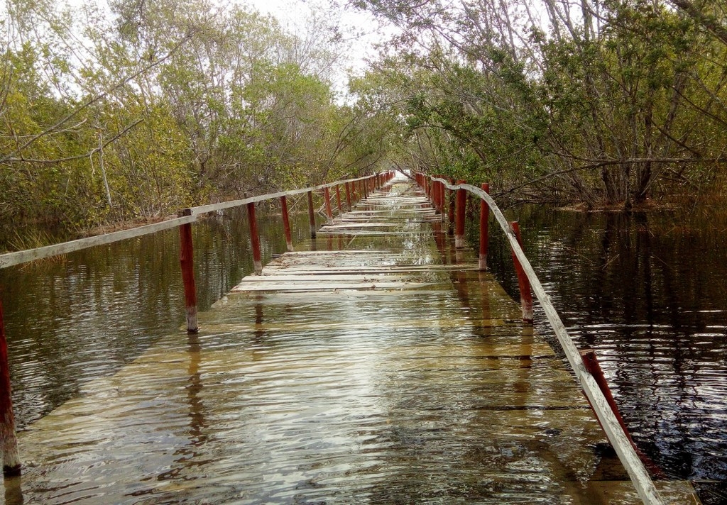 Autoridades vigilan lagunas para prevenir desbordes por lluvias en José María Morelos