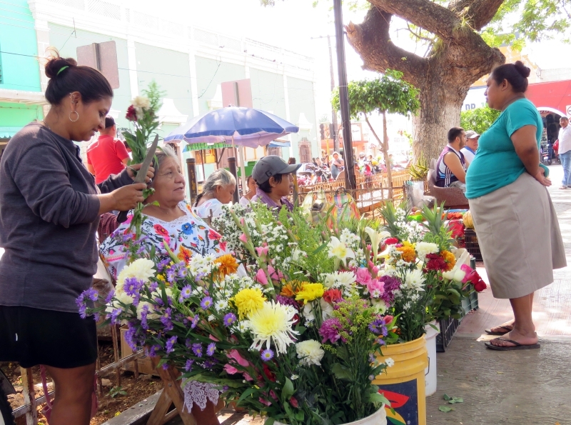 Estas flores sólo crecen dentro de la región yucateca