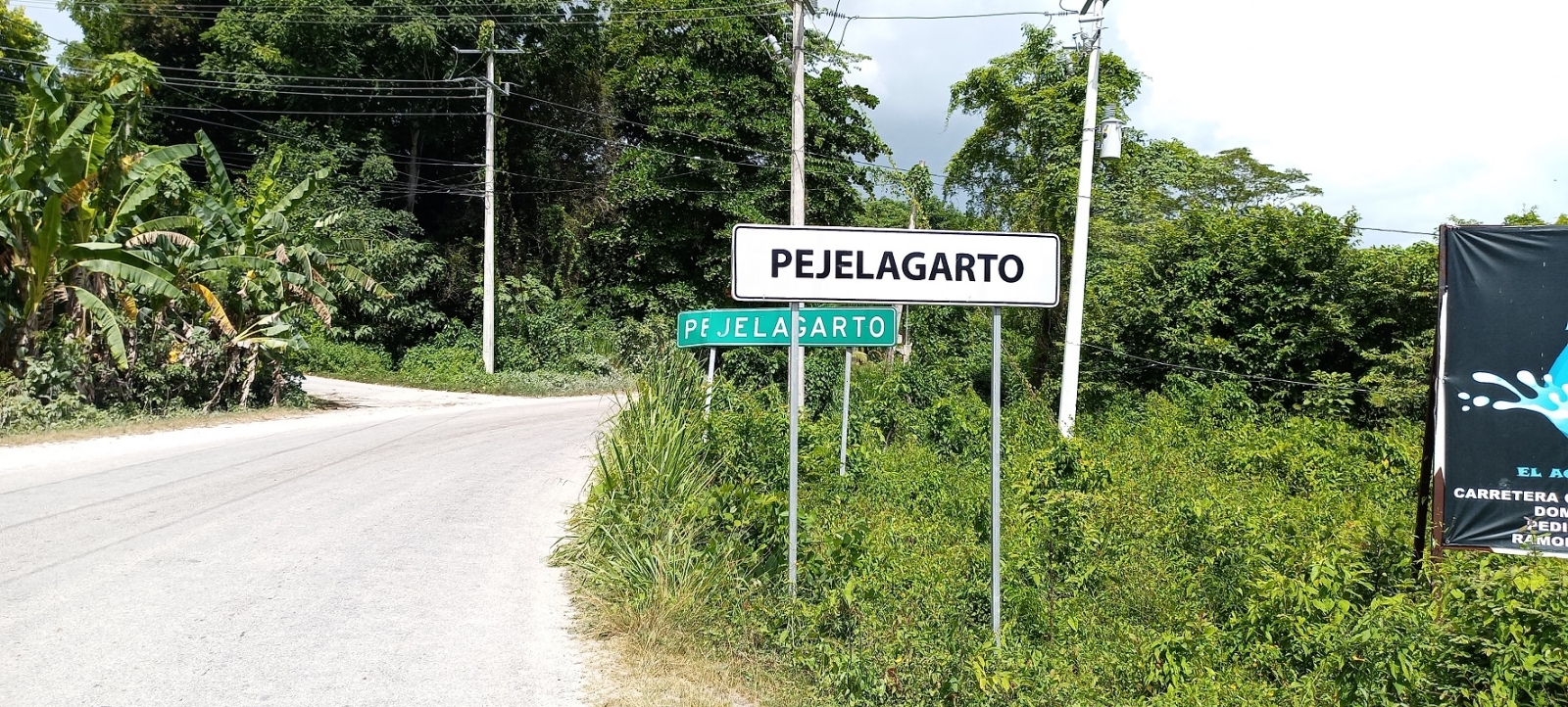 Tren Maya: Ejidatarios de Pejelagarto, Candelaria, inconformes por indemnización