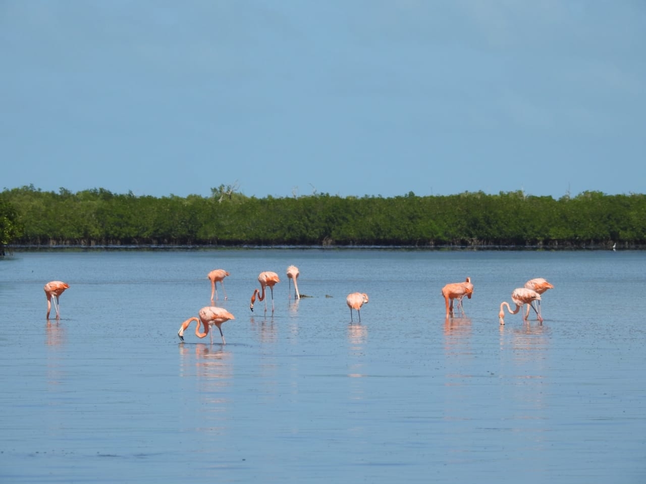 Puerto Maya, el nuevo atractivo turístico en el Litoral Oriente de Yucatán