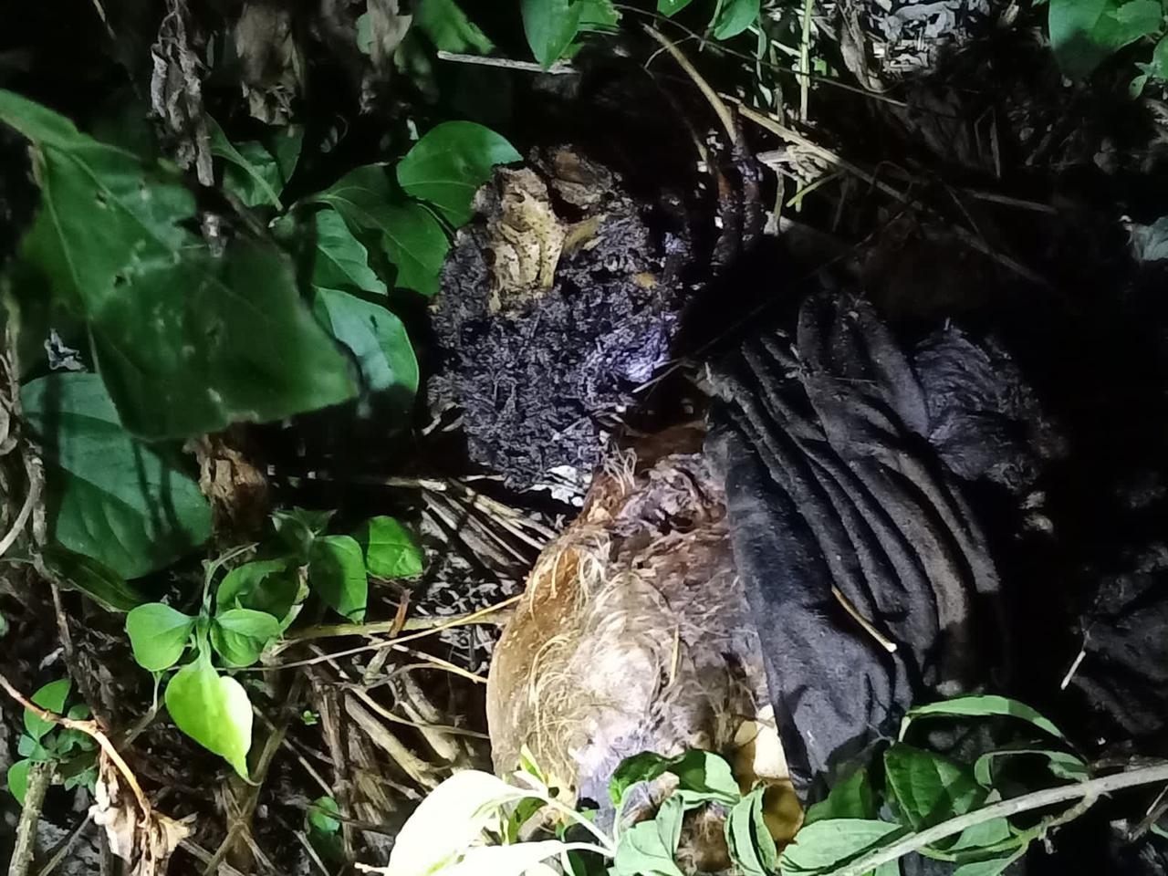 Hallan restos de un poblador de Dzidzantún, Yucatán