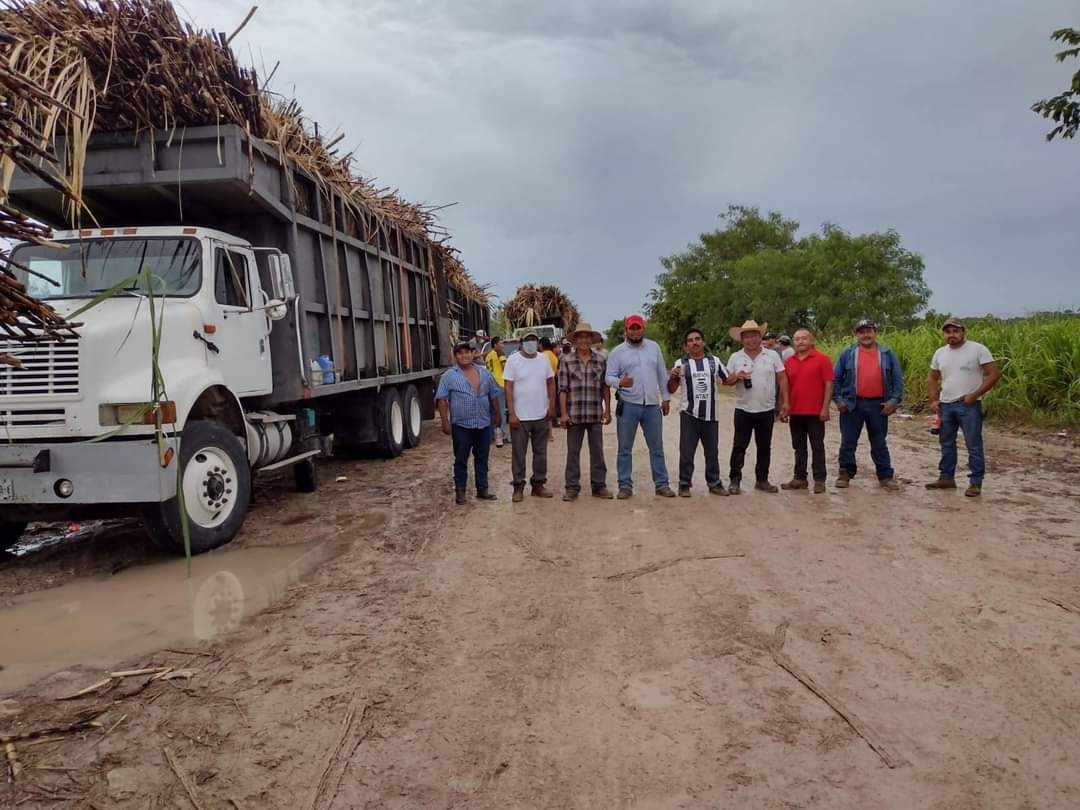 En otros ejidos de la misma Ribera del Río Hondo aún continúa la cosecha de la vara de azúcar