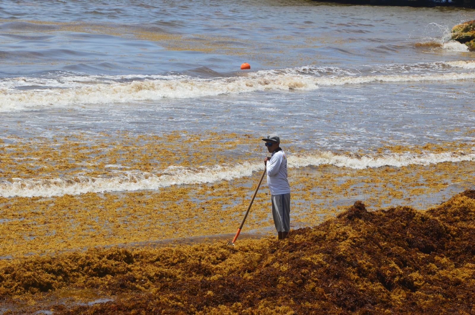 De acuerdo con la Secretaría de Marina, los recales continuarán durante el resto del mes de julio