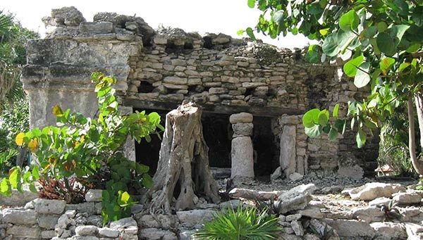 Esta ubicado al sur de Playa del Carmen y para llegar aquí es necesario entrar al fraccionamiento Playacar