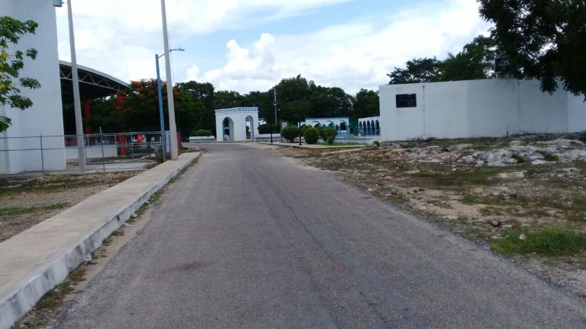 Habitantes de Dzotzil, Campeche exigen campañas de fumigación a las autoridades