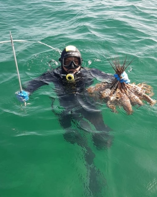 Pesca furtiva y mal tiempo afectan temporada de langosta en Río Lagartos, Yucatán