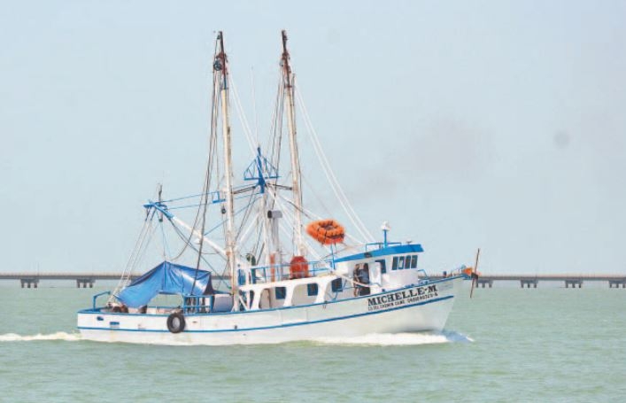 'Piratas modernos', sin freno en la Sonda de Campeche, denuncian pescadores