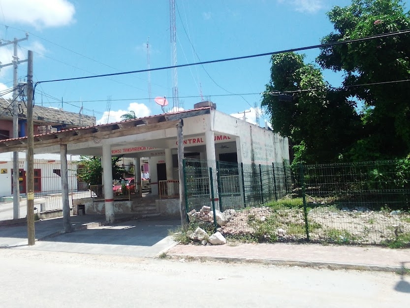 Proyecto estatal en el olvido por autoridades municipales de Tulum