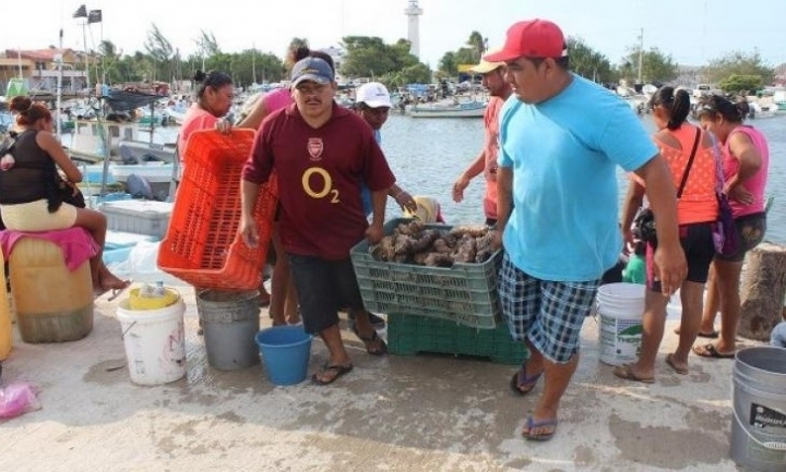 Temporada de langosta con baja captura, reportan pescadores de Progreso