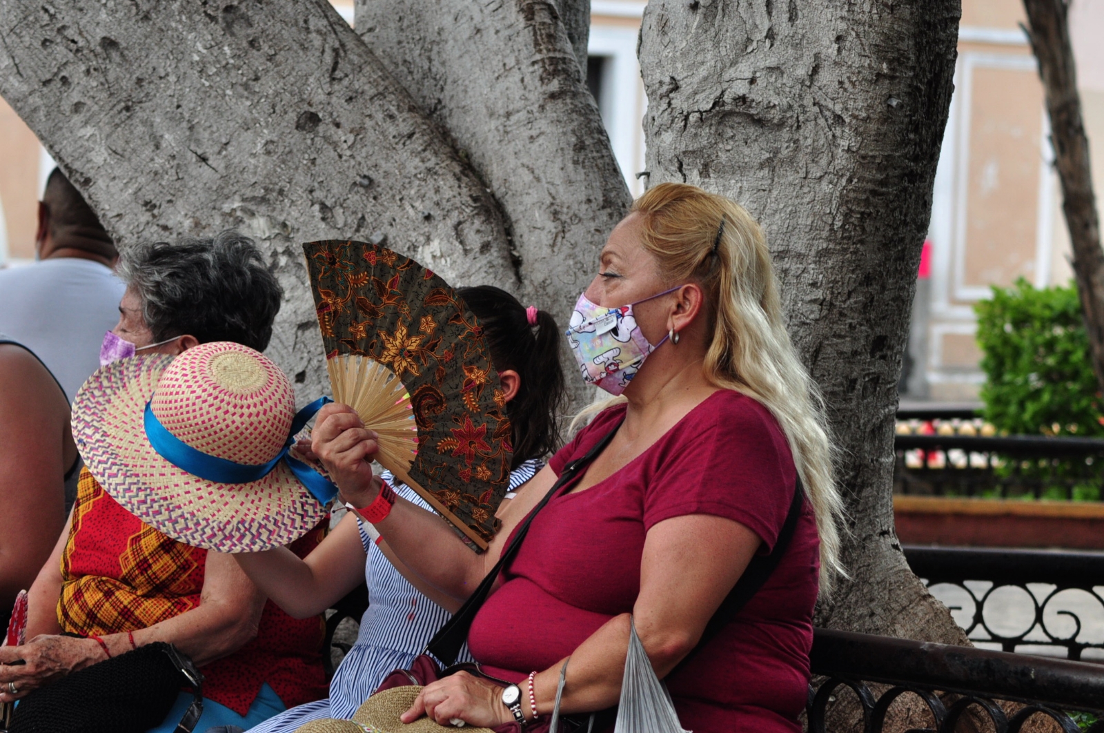 Ola de calor en Mérida, cada vez más intensa ante la falta de árboles: Conagua